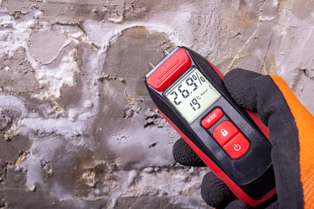 Best Health and Safety Mold Remediation in Aztec, NM